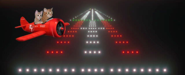 b737cat