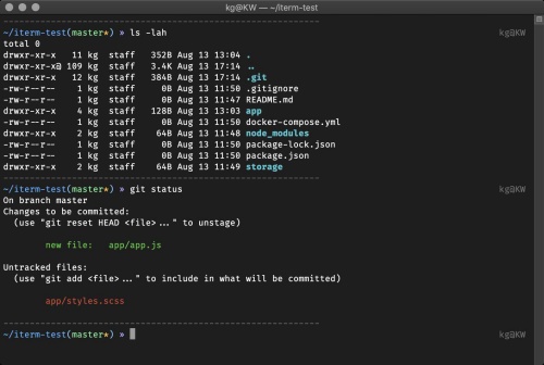 mac-book-terminal-theme-by-ohmyzsh-flying-with-tools